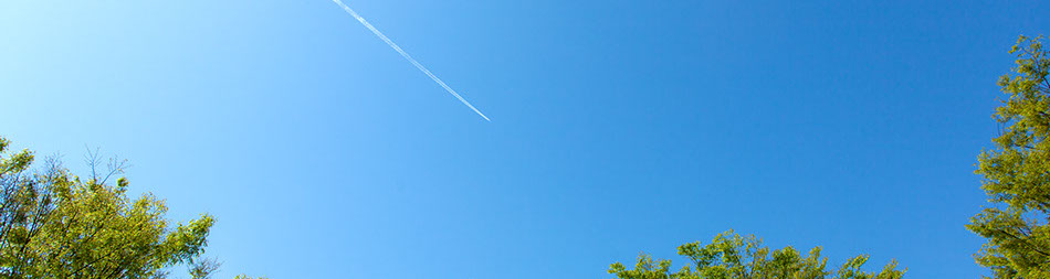 お客様の為になる提案を心がけています。